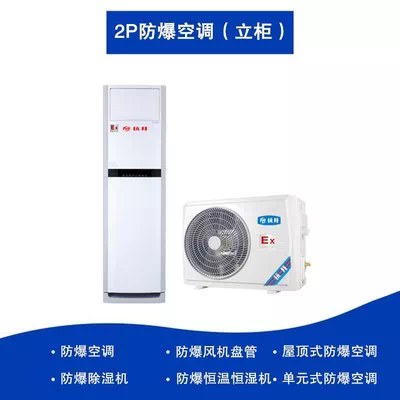 BHKG系列柜式防爆空调